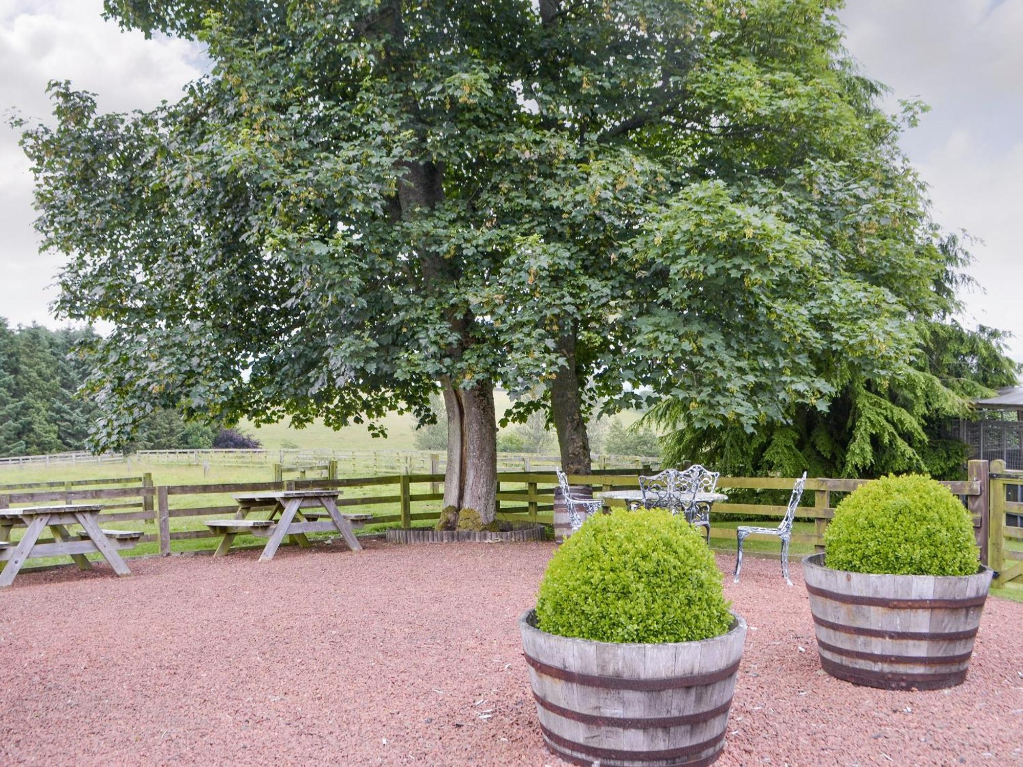 Piglet Cottage Elsdon Esterno foto